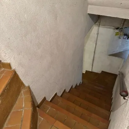 Petit - Vieux مينتون